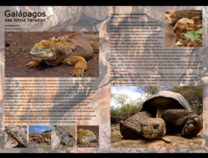 Galapagos | Das letzte Paradies